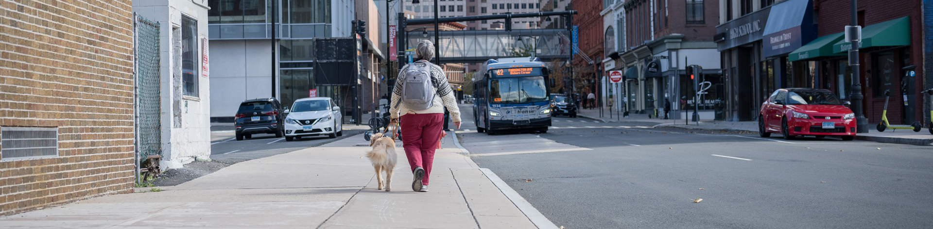 A woman walks down a city street with her guide dog. 
